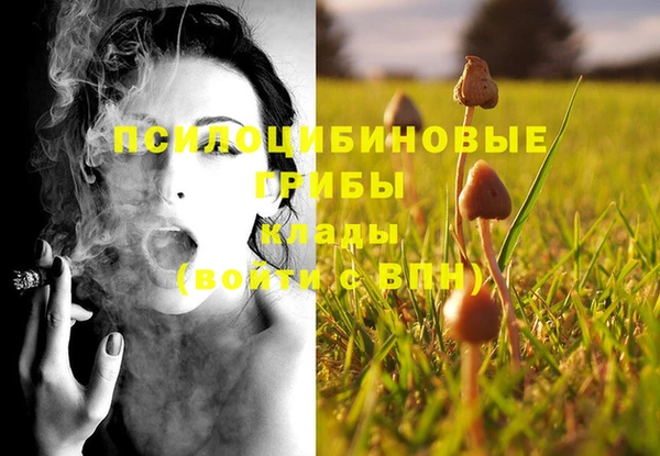 крисы Балахна