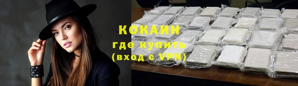 шишки Баксан