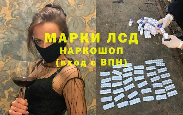 шишки Баксан