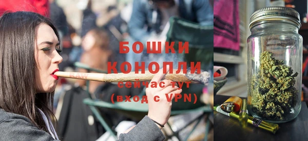 шишки Баксан