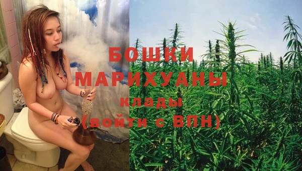крисы Балахна