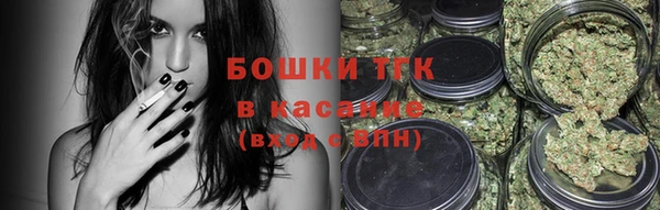 шишки Баксан