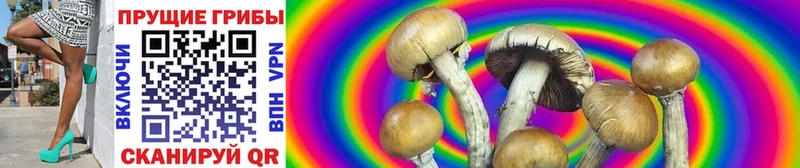 Галлюциногенные грибы MAGIC MUSHROOMS  Томилино 