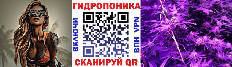 Бошки Шишки LSD WEED  дарнет шоп  Томилино 